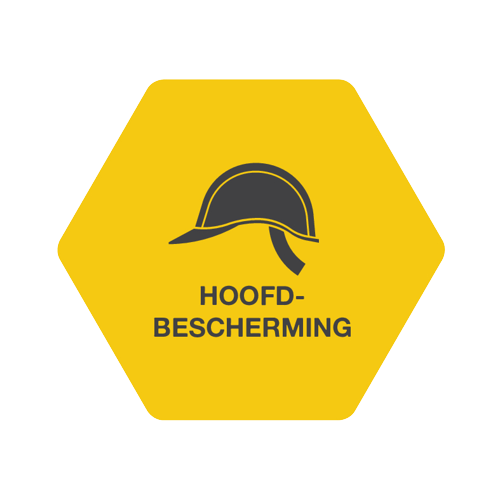 Hoofdbescherming